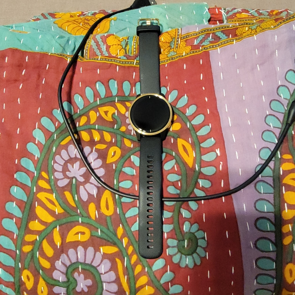 Garmin Venu